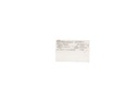 415291100010 — RELE 110VCD 2P2T 8AMP.