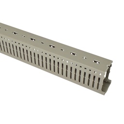 [4SG E54] 4SG E54 — Canaleta ranurada PVC rigido 40x60mm 2pzas de 1 metro